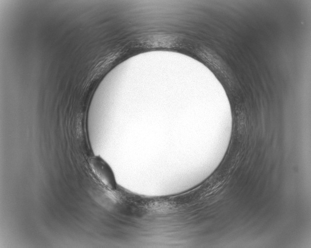 X0000051920537200507222137