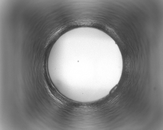 X0000051920538200507222137