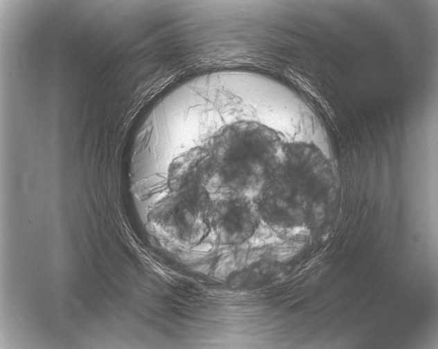 X0000051920541200507222137