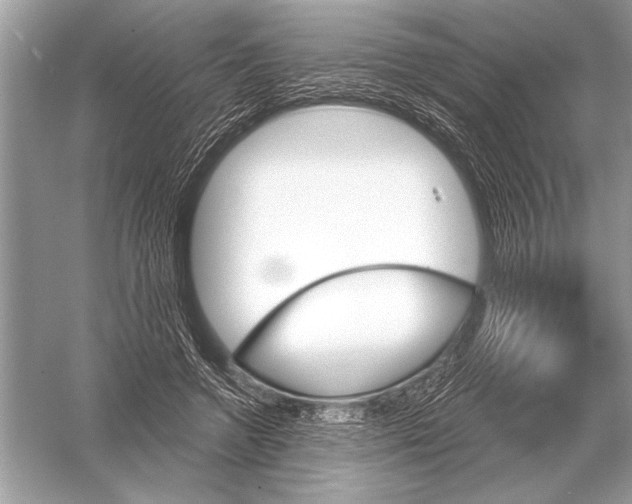 X0000051920546200507222137