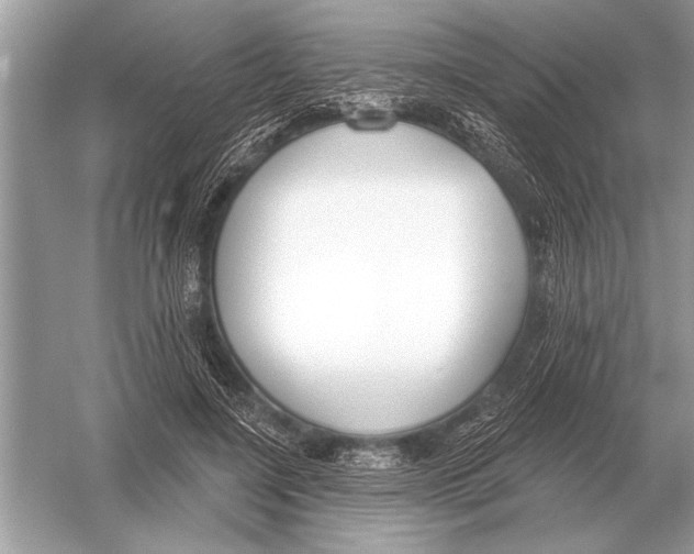 X0000051920548200507222137