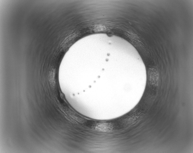 X0000051920550200507222137