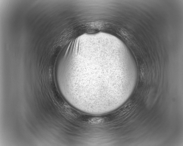 X0000051920551200507222137