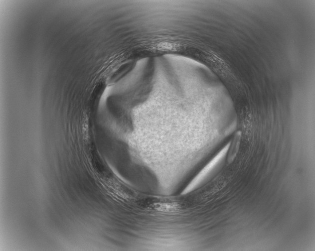 X0000051920552200507222137