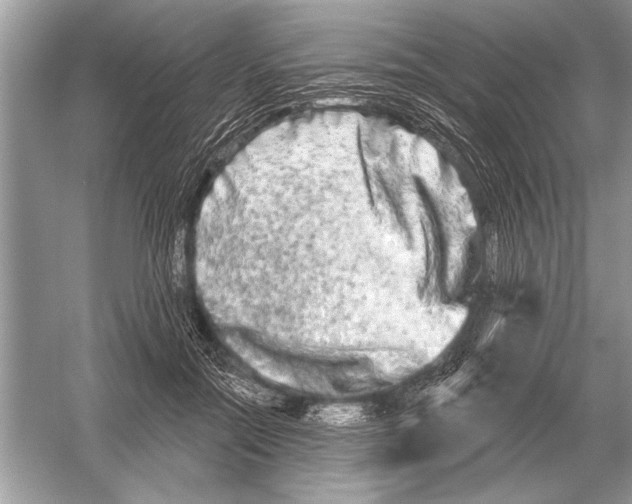 X0000051920554200507222137