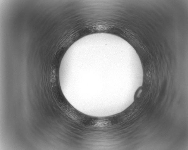 X0000051920555200507222137