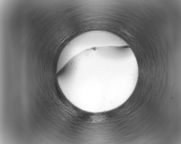 X0000051920556200507222137