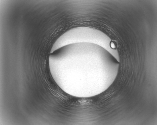 X0000051920558200507222137