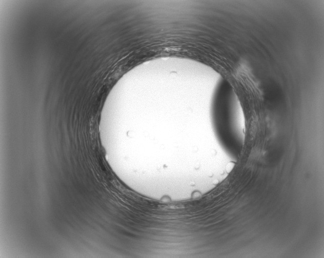 X0000051920559200507222137