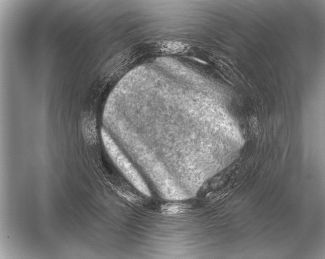 X0000051920564200507222137