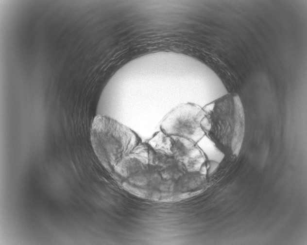 X0000051920565200507222137