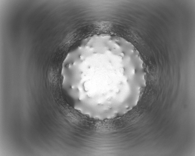 X0000051920568200507222137