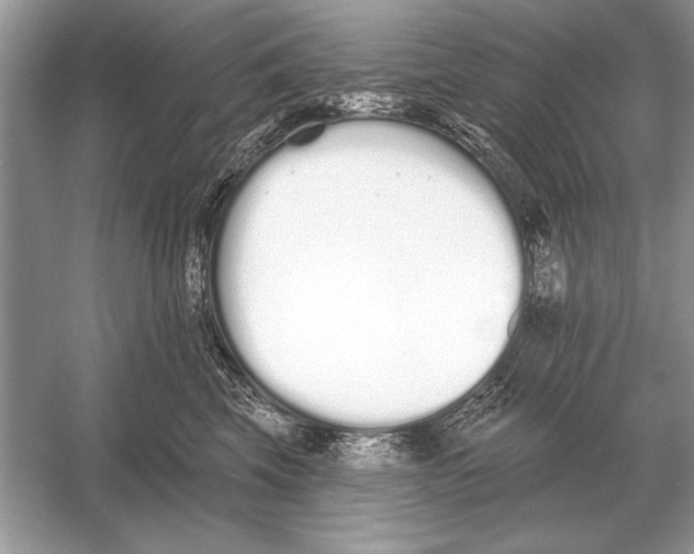 X0000051920569200507222137