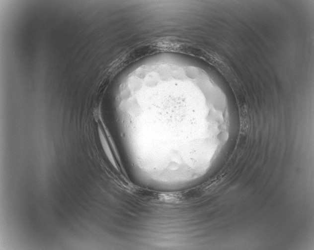 X0000051920573200507222137