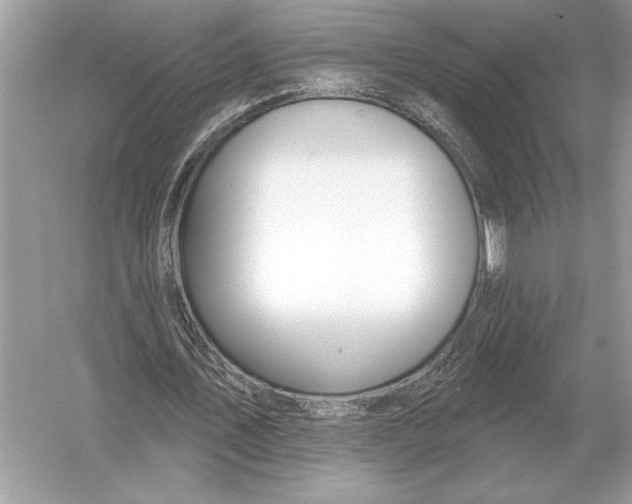 X0000051920579200507222137