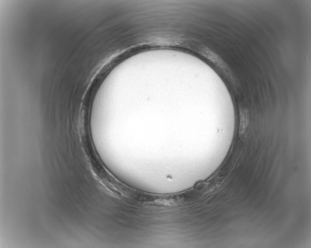 X0000051920580200507222137