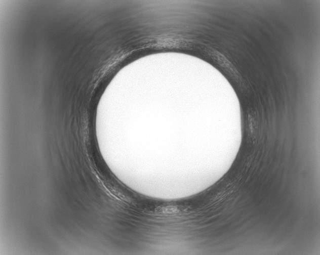 X0000051920588200507222136