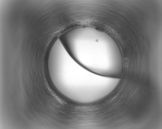 X0000051920589200507222136