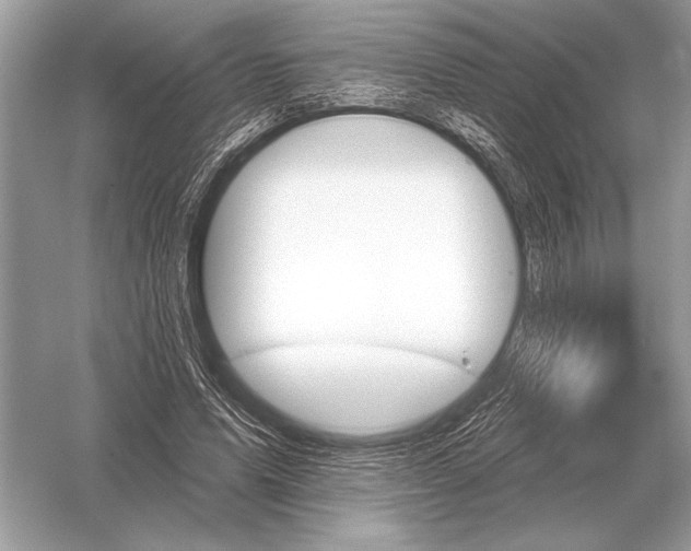 X0000051920591200507222136