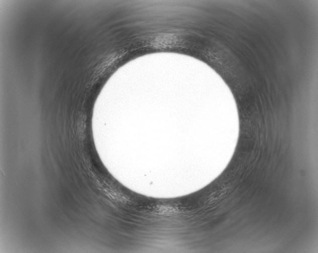 X0000051920592200507222136