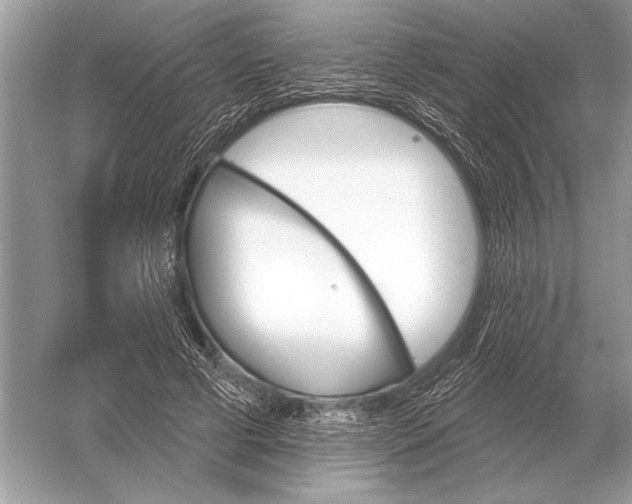 X0000051920593200507222136