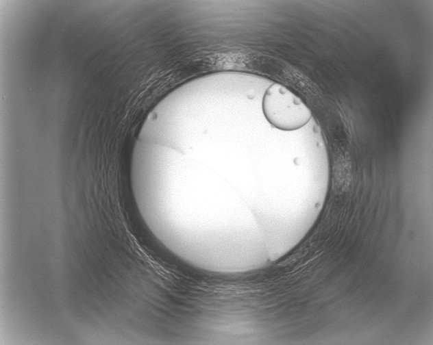 X0000051920594200507222136