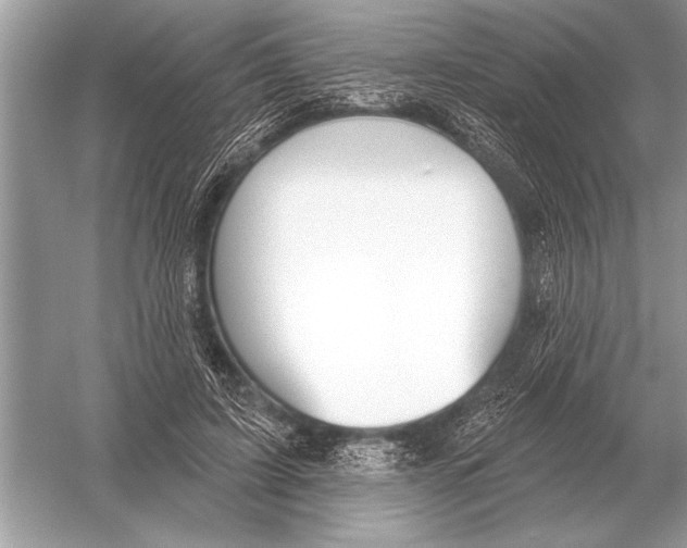 X0000051920595200507222136