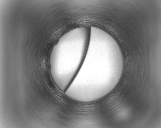 X0000051920597200507222136