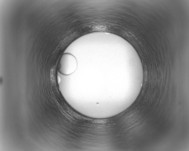 X0000051920598200507222136