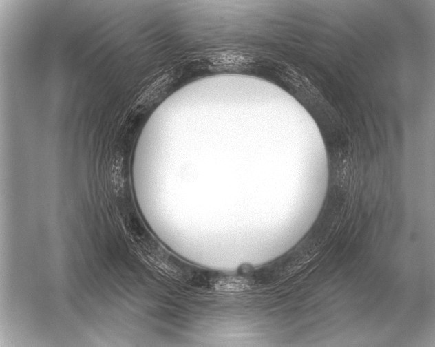 X0000051920599200507222136