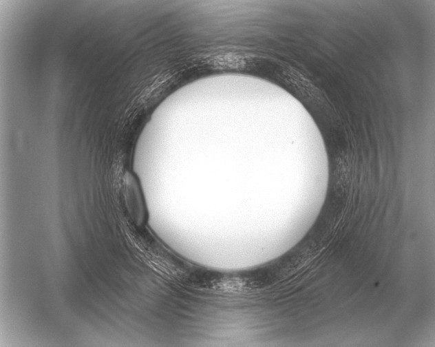 X0000051920600200507222136