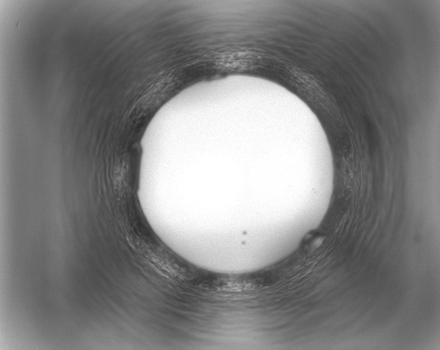 X0000051920601200507222136