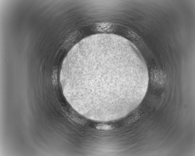 X0000051920602200507222136