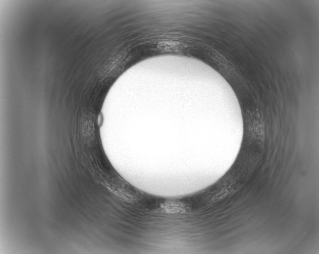 X0000051920603200507222136