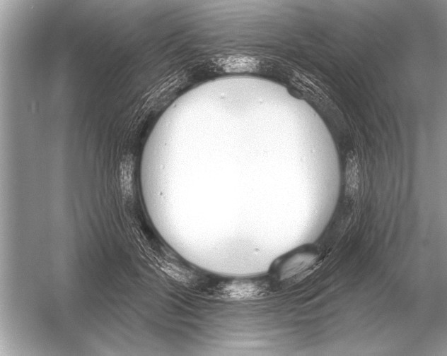 X0000051920604200507222136