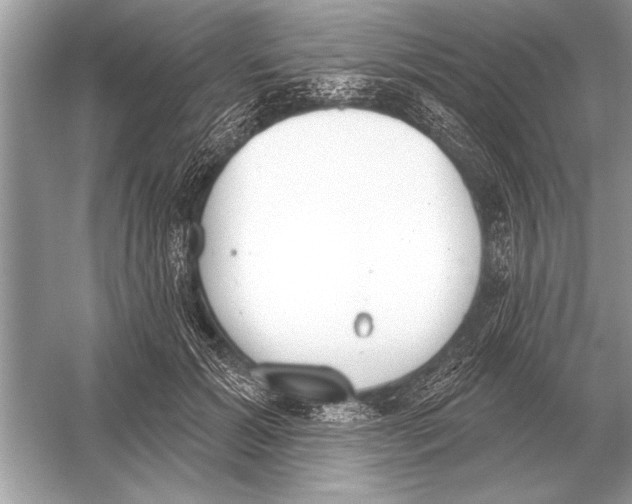 X0000051920605200507222136