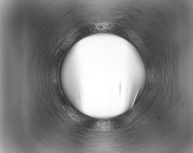 X0000051920606200507222136