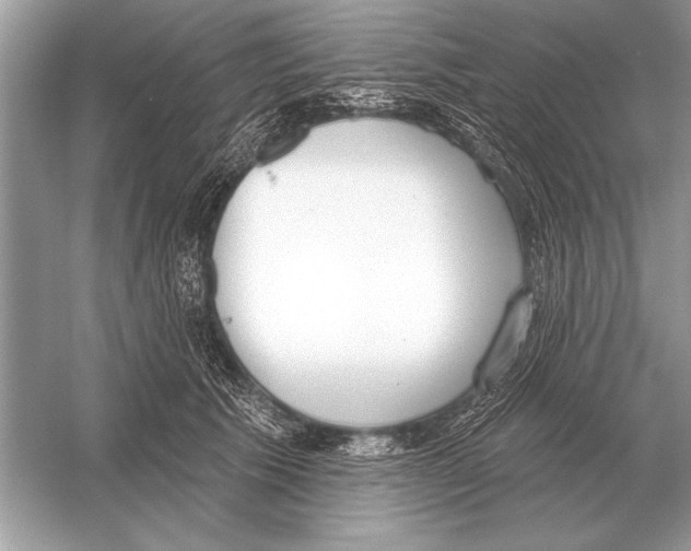 X0000051920609200507222136