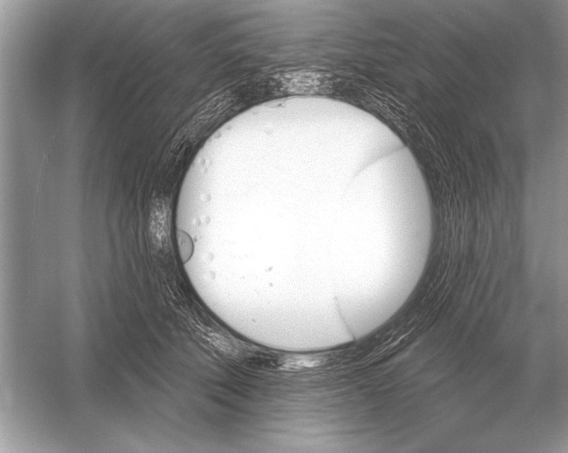 X0000051920610200507222136