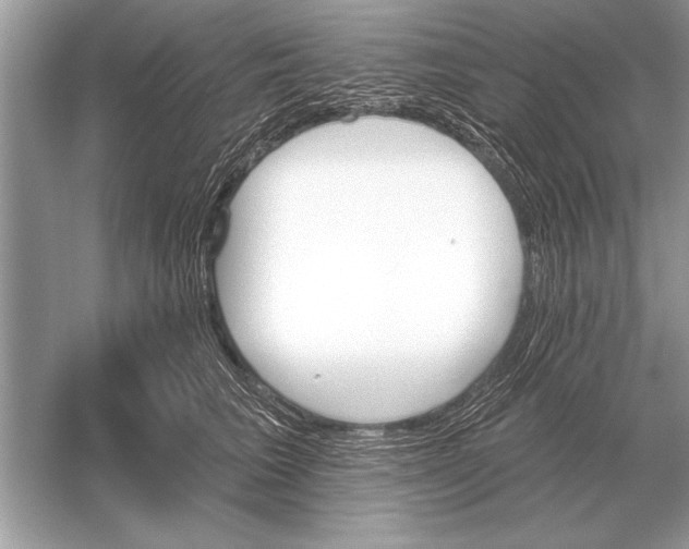 X0000051920613200507222136