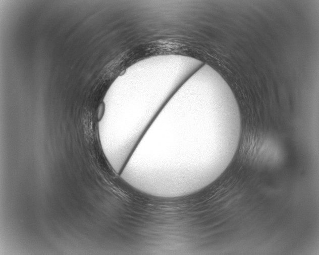 X0000051920615200507222136