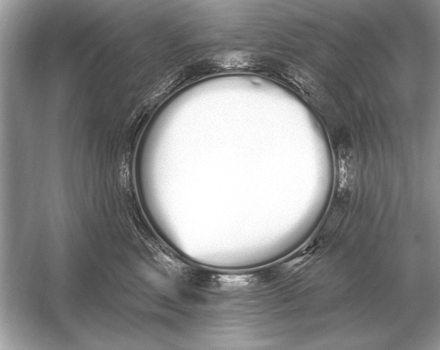 X0000051920618200507222136