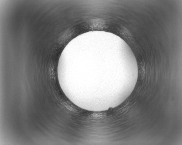 X0000051920619200507222136