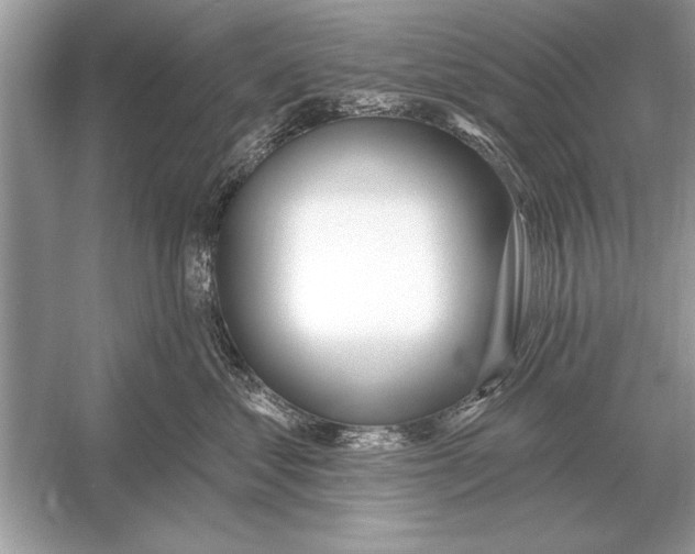 X0000051920621200507222136