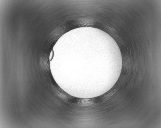 X0000051920622200507222136