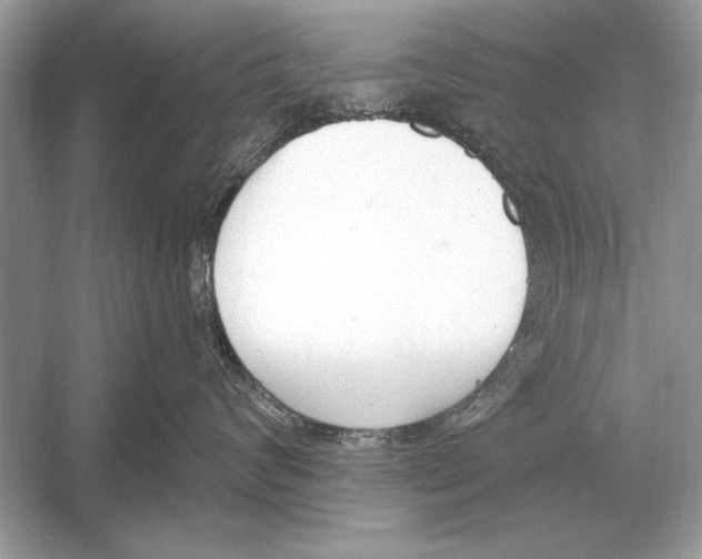 X0000051920624200507222136