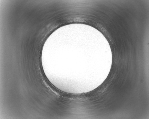 X0000051920625200507222135