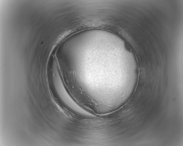 X0000051920626200507222135