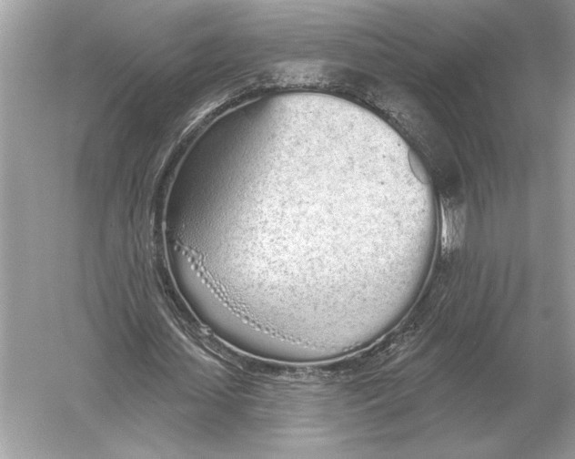 X0000051920627200507222135