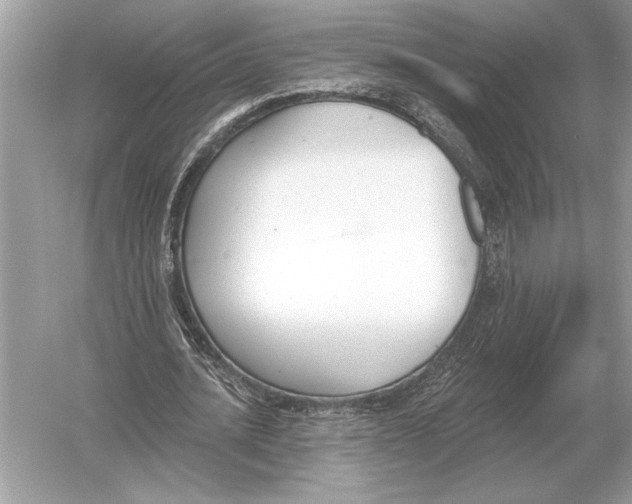 X0000051920628200507222135